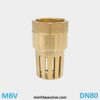 Rọ bơm đồng phi 90 DN80 MBV Series