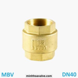 Van 1 chiều lò xo Phi 49 DN40 – MBV Series