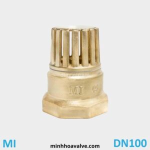 Rọ bơm đồng phi 114 DN100 MI Series